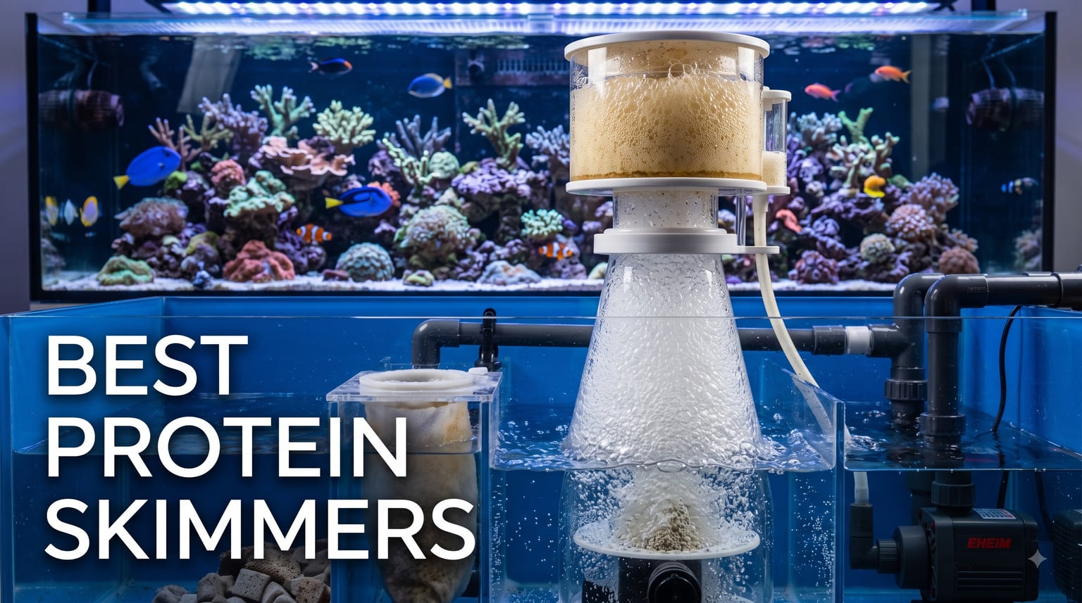 best protein skimmers
