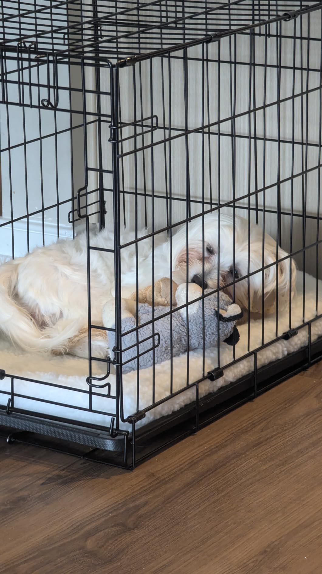 MidWest Homes for Pets QuietTime Dog Bed - White Fleece Bolster, Ultra-Soft and Machine Washable, Fits 42-Inch Crates and Carriers, for Large Breed Dogs customer photo 2