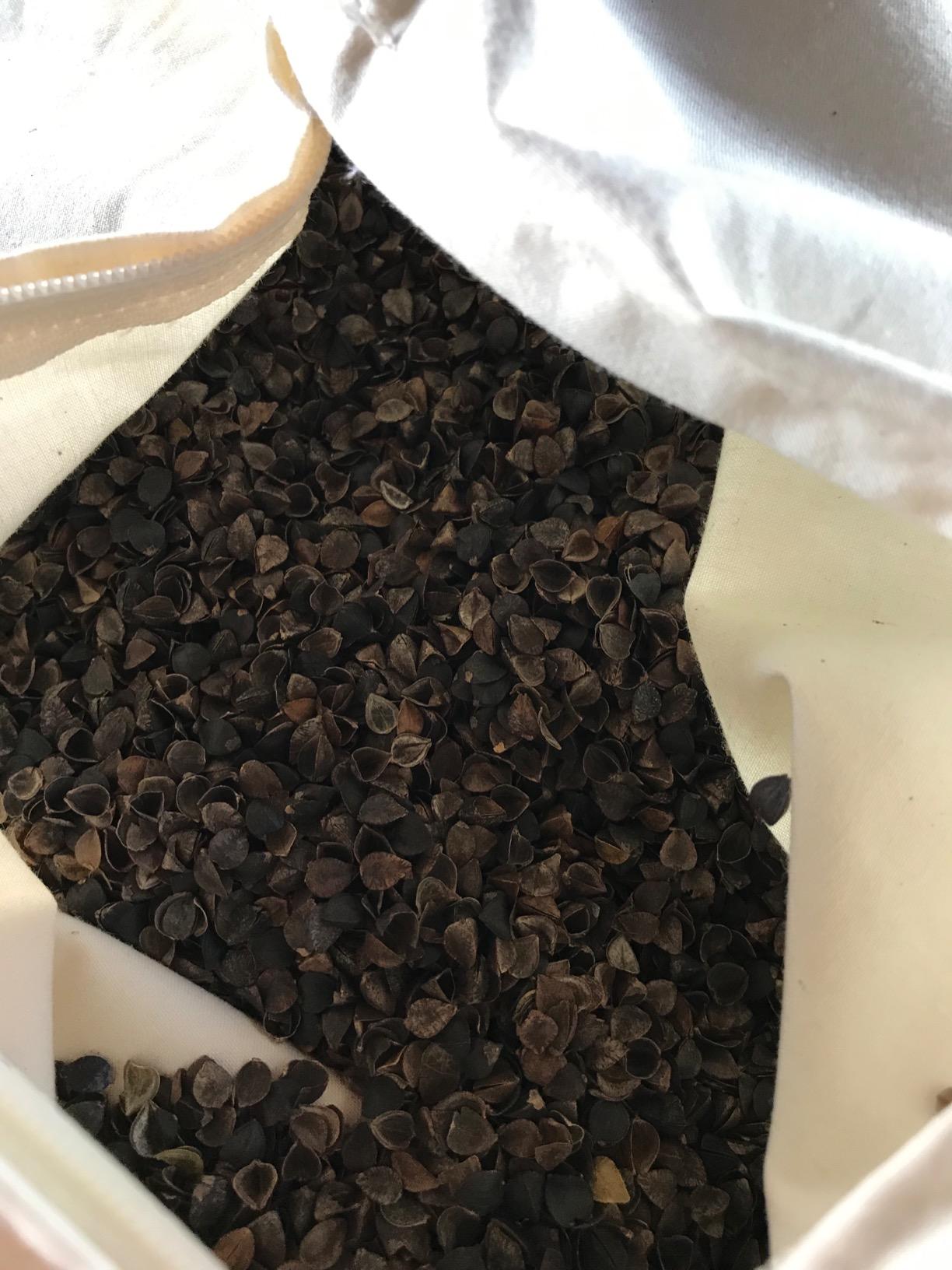 Beans72 Organic Buckwheat Pillow - Queen Size (20 inches x 30 inches) customer photo 1
