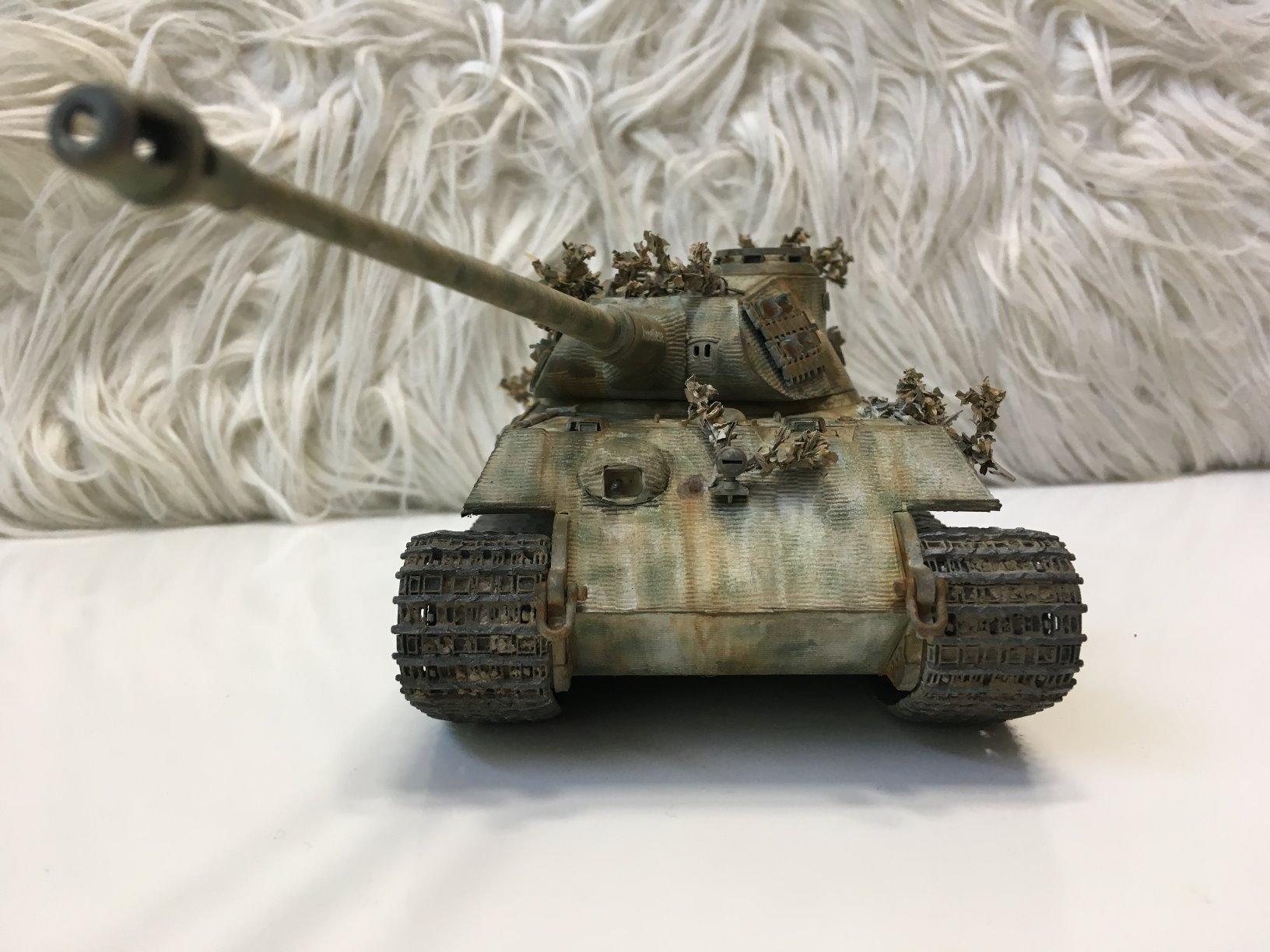 Tamiya Models King Tiger (Porsche Turret) customer photo 1