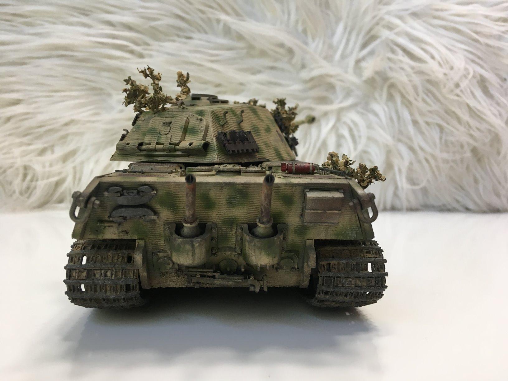 Tamiya Models King Tiger (Porsche Turret) customer photo 2