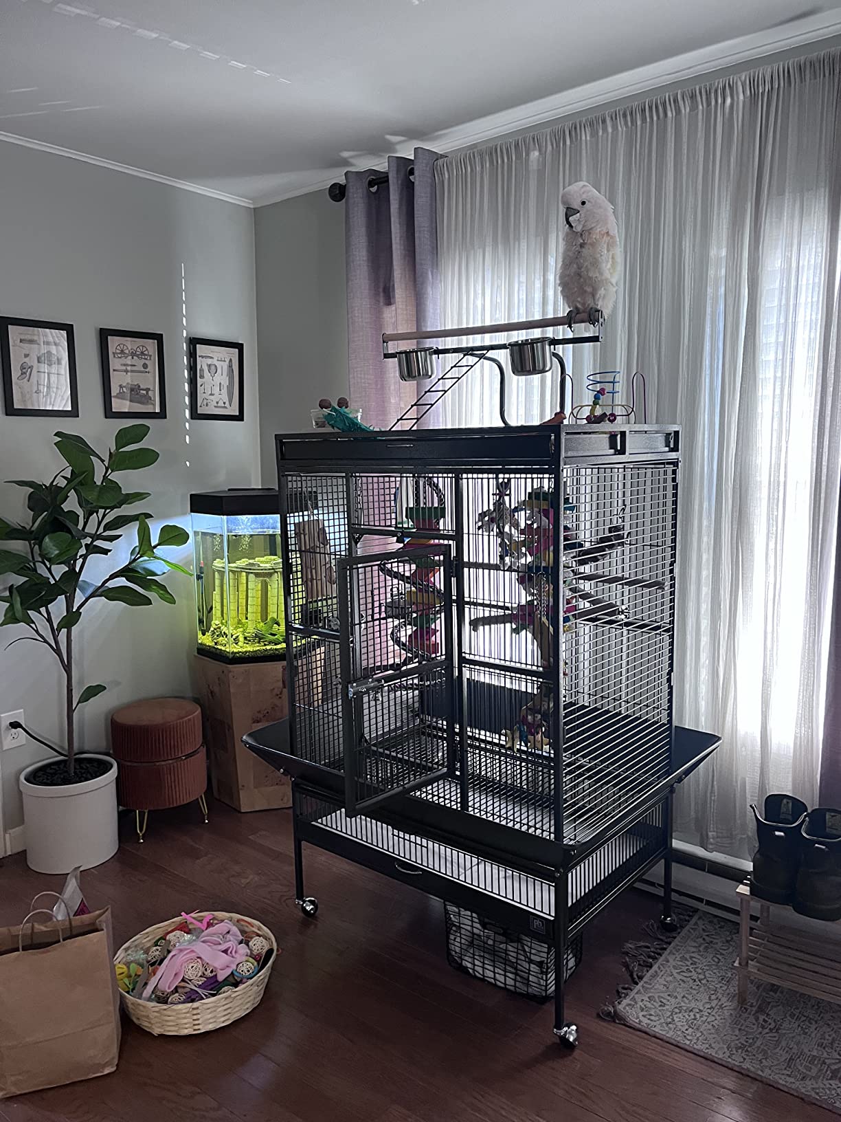 Prevue Pet Products Wrought Iron Select Bird Cage 3154BLK, Black Hammertone, 36-Inch by 24-Inch by 66-Inch customer photo 1