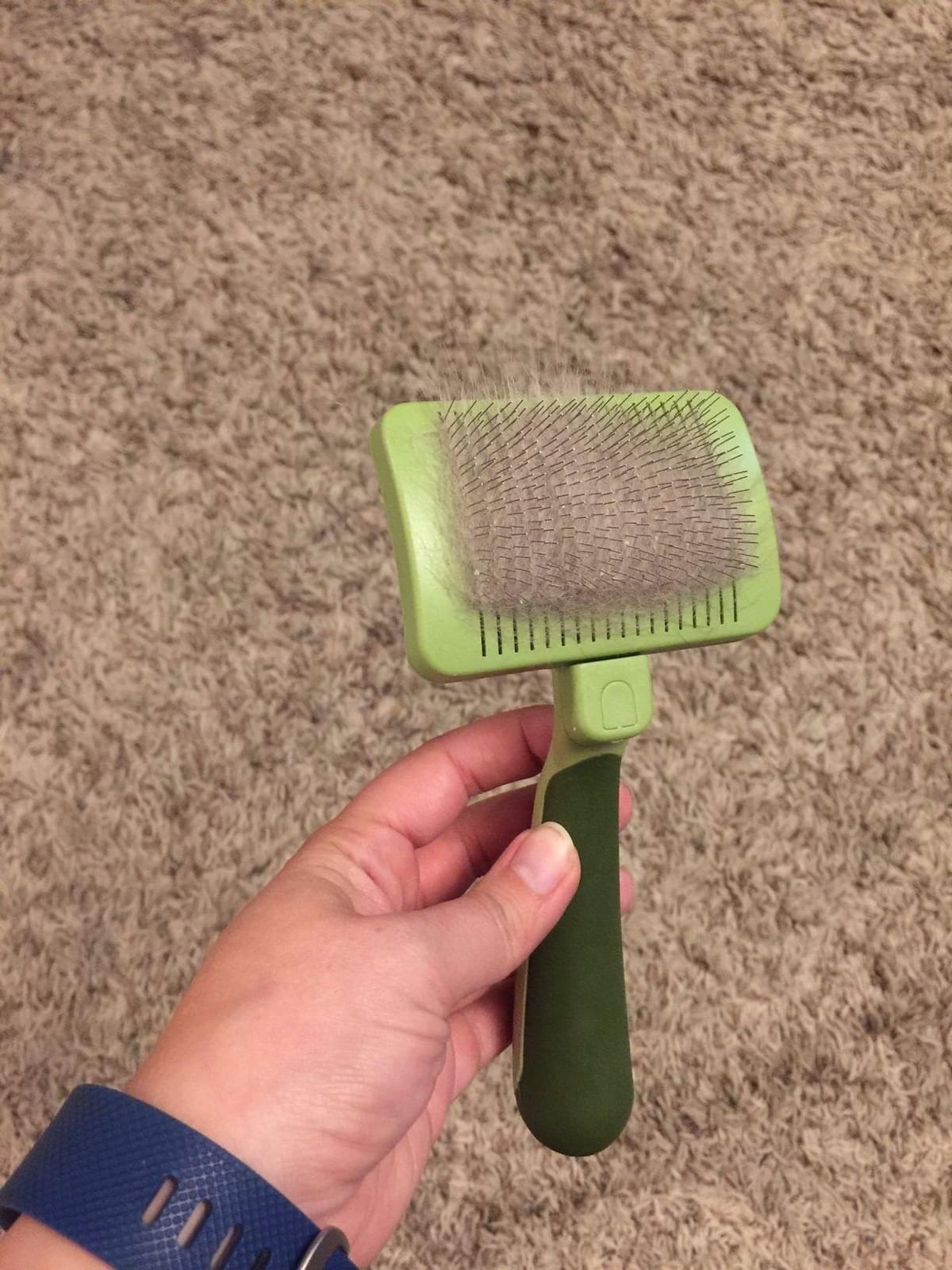 Coastal Pet Safari - Cat Self-Cleaning Slicker Brush - Cat Grooming Supplies customer photo 2