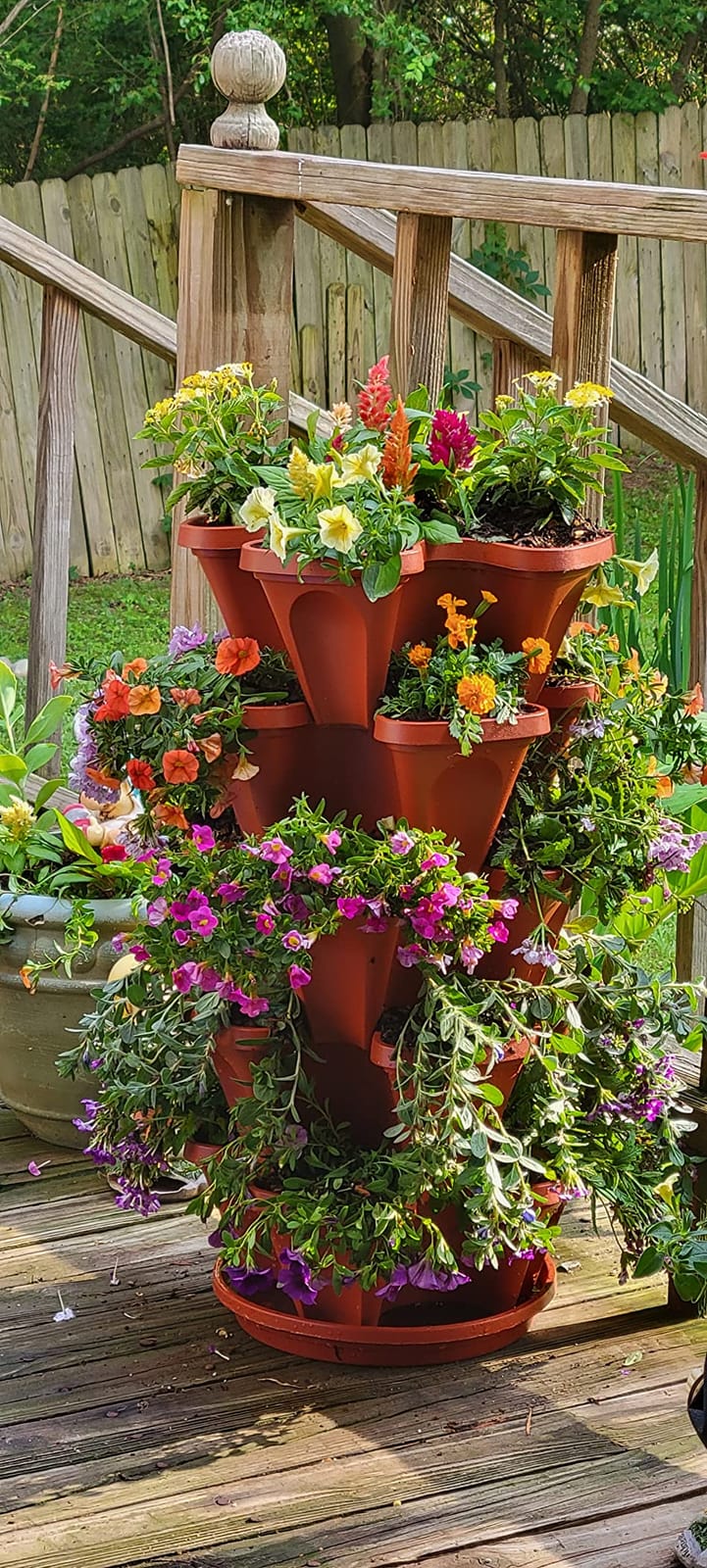 5 Tier Stackable Strawberry, Herb, Flower, and Vegetable Planter - Vertical Garden Indoor/Outdoor customer photo 2