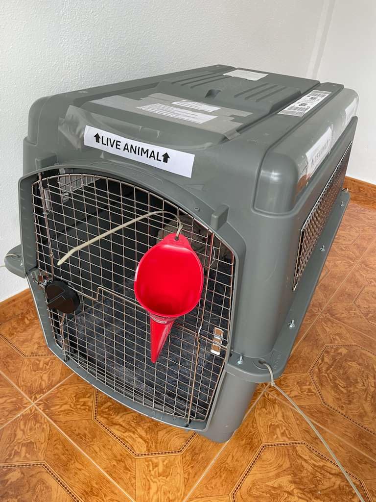 Petmate Sky Kennel for Air Travel, 28in Dog Crate for Pets 15 to 30lbs customer photo 2