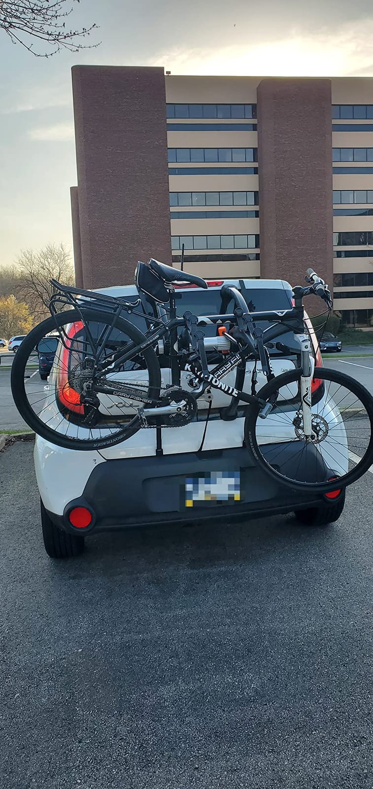 Saris Bones 3-Bike Trunk Rack Bicycle Carrier, Durable, Rust-Free, Anti-Sway Straps, Fits Most Vehicles, Made in USA, Arc-Based Design, 100% Recyclable Materials customer photo 2