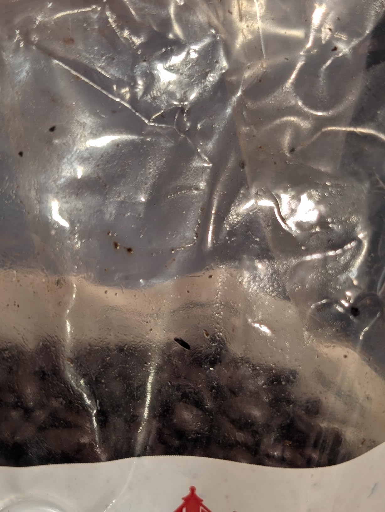 San Francisco Bay Coffee - Flavored Medium Roast Whole Bean Coffee - Hazelnut Creme (2 lb bag) customer photo 1