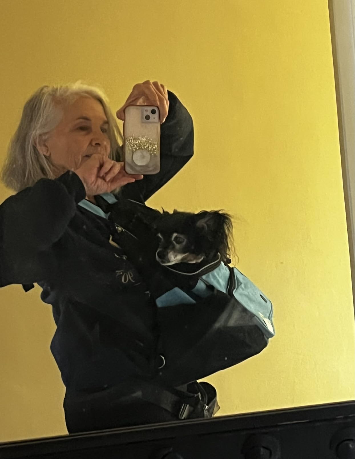 PetAmi Dog Front Carrier Backpack, Adjustable Dog Pet Cat Chest Carrier Backpack, Ventilated Dog Carrier for Hiking Camping Travel, Small Medium Puppy Large Cat Carrying Bag, Max 15 lbs, Gray customer photo 2