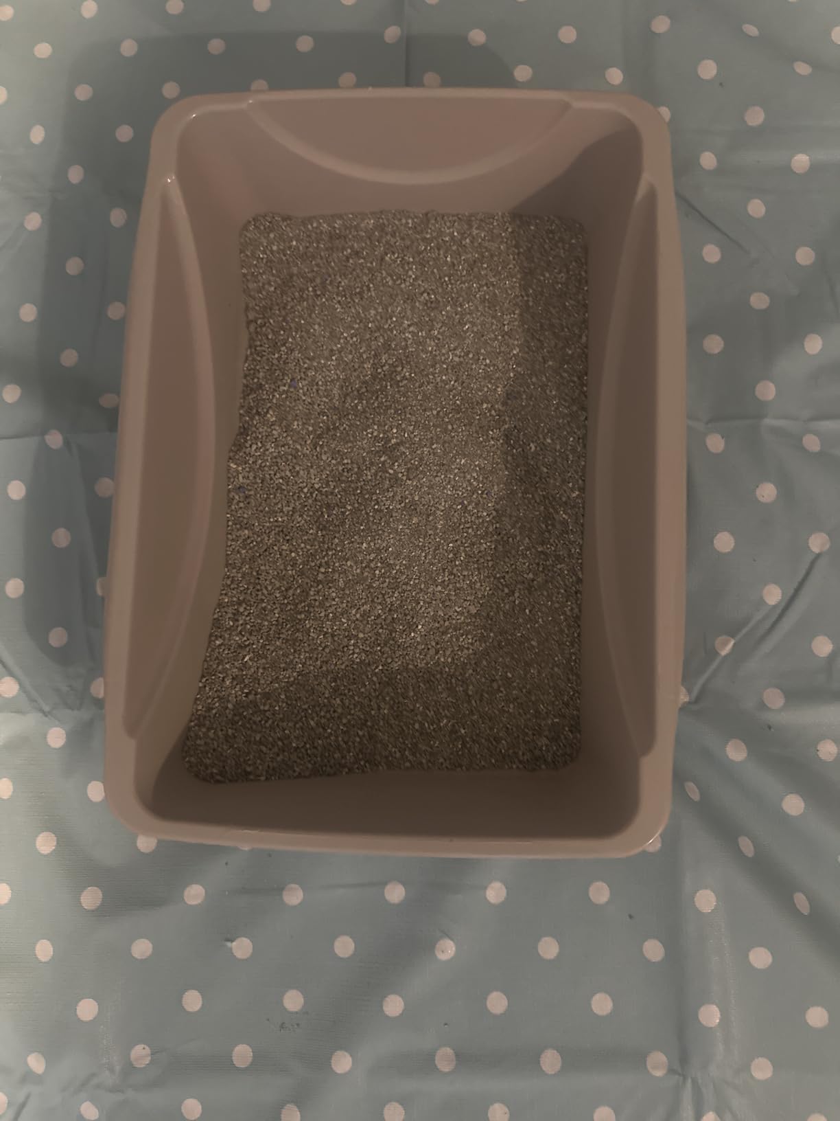 Petmate Basic Open Plastic Cat Litter Pan, Gray, Small customer photo 2