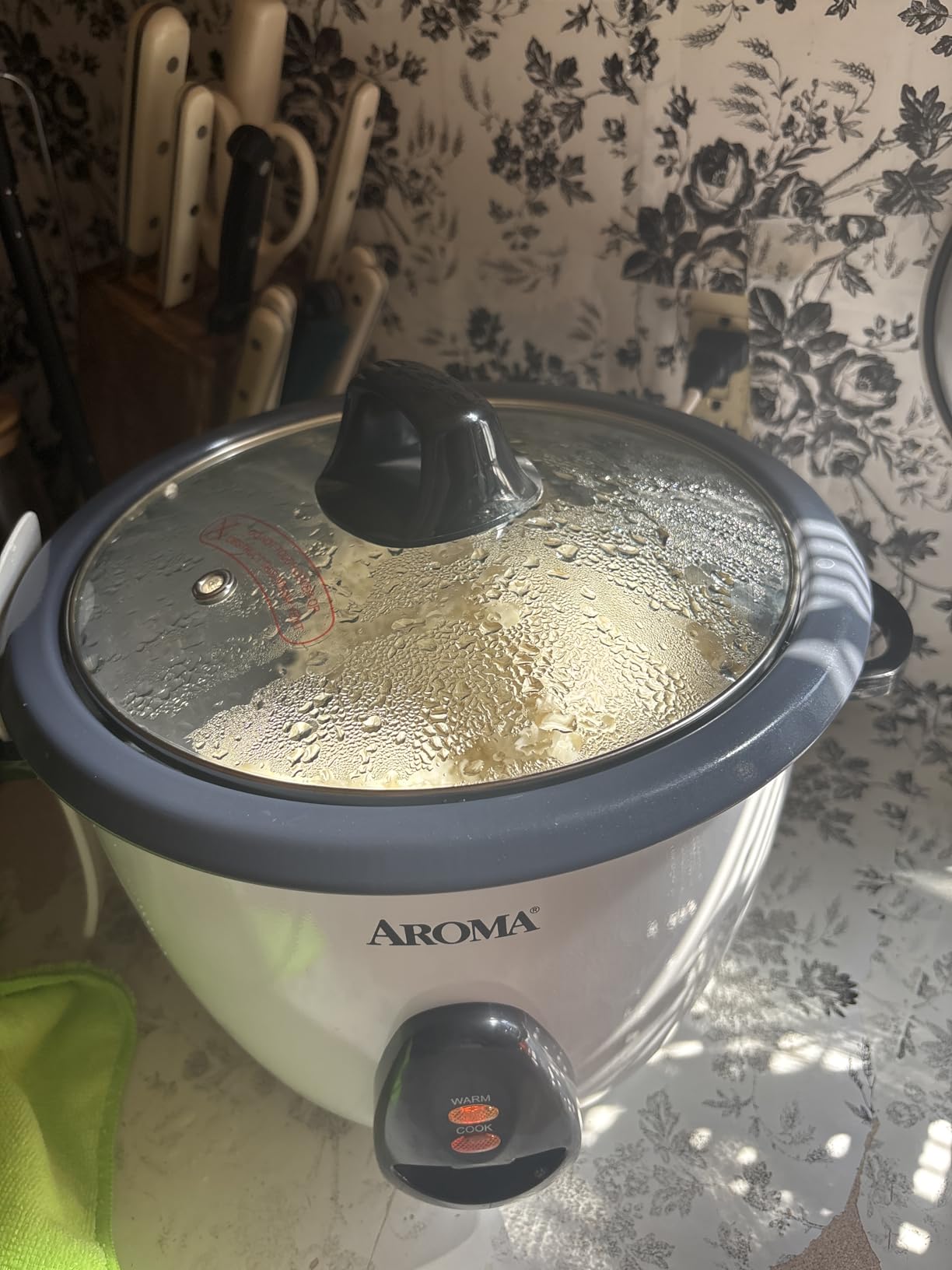 AROMA Rice Cooker, 10-Cup (Uncooked) / 20-Cup (Cooked), Steamer, Auto Keep Warm, Soup Maker, Oatmeal Cooker, Large Rice Cooker, 5 Qt, White, ARC-360-NGP customer photo 2