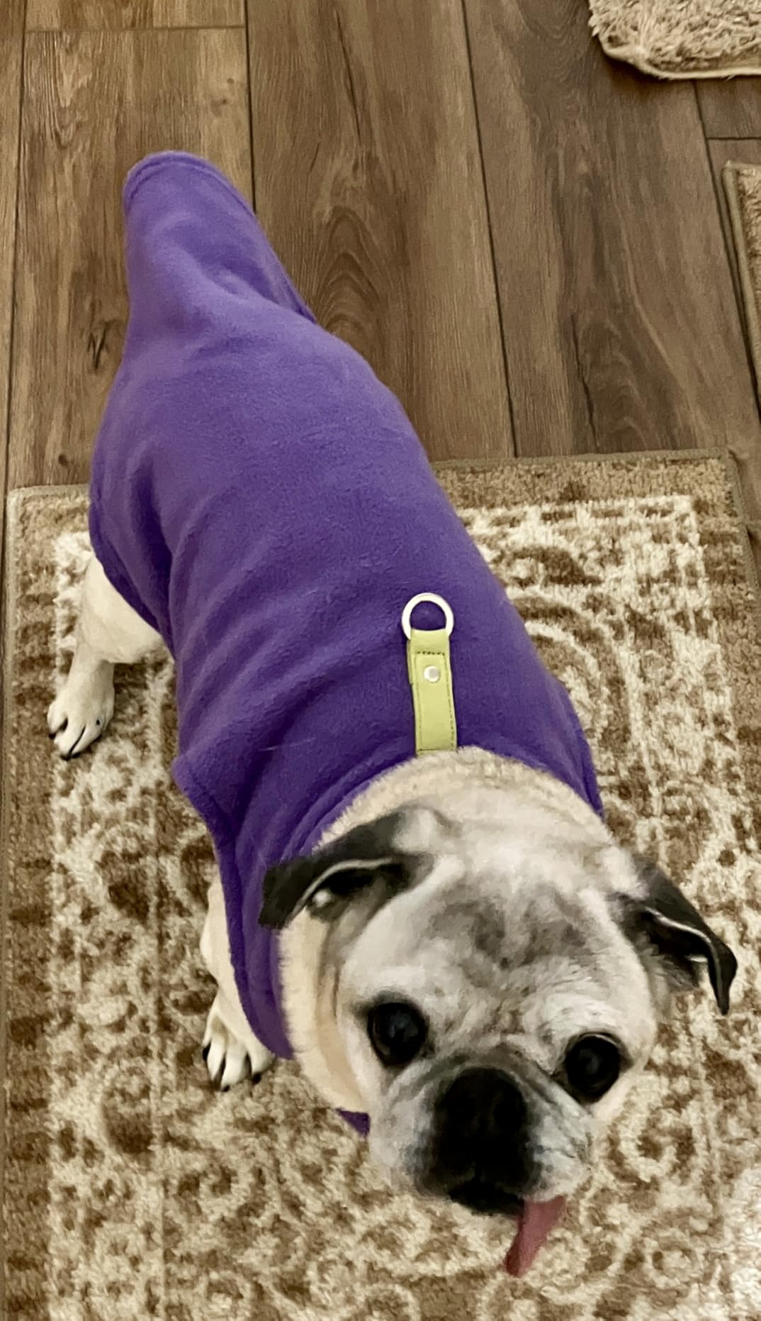 Gooby Fleece Vest Dog Sweater, Blue, Medium customer photo 1