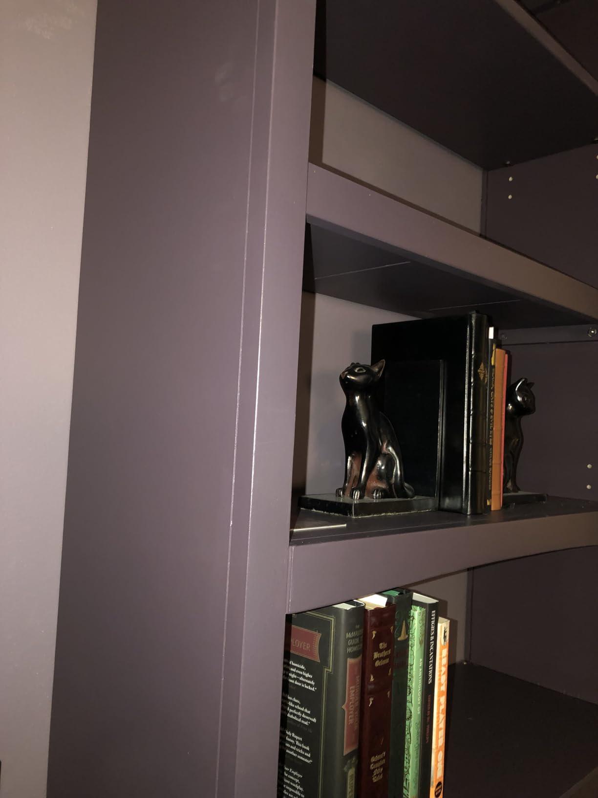 Solid Wood Bookcase 48