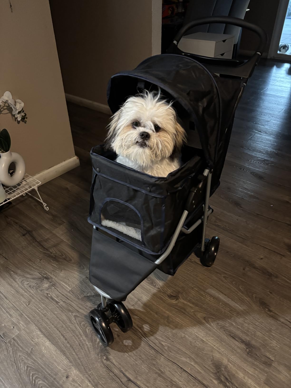 BestPet | 3-Wheel Pet Stroller | Dog and Cat Stroller | Breathable Mesh | Lightweight Travel Carrier | Waterproof & Foldable Design | Storage Basket | Black | for Daily Walks & Outdoor Use customer photo 2