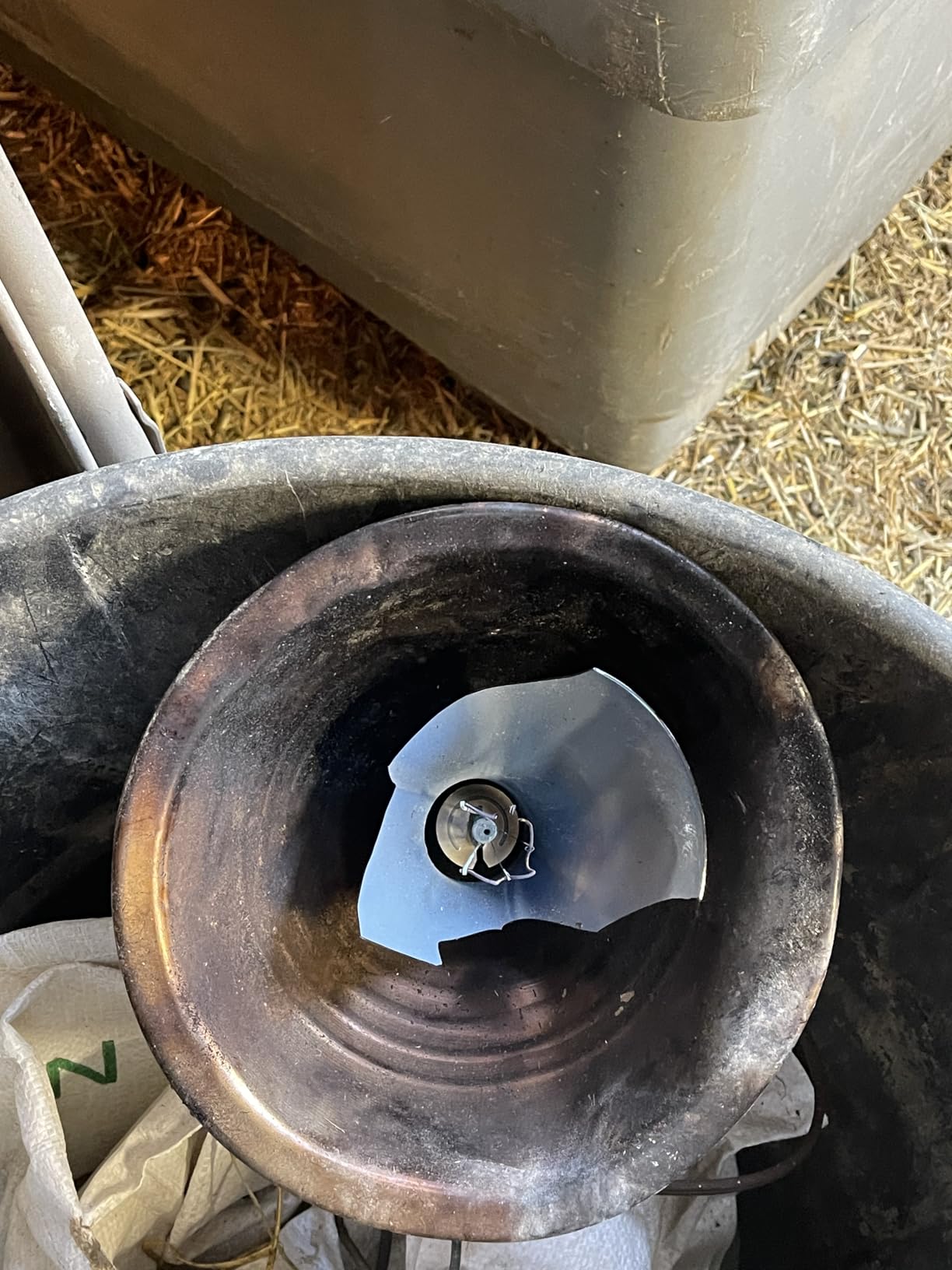Premier 1 Prima Heat Lamp | Rugged & reliable. Superior safety guard & hanging system. For lambs, goat kids, chickens & ducks. Use up to 250W bulbs customer photo 1