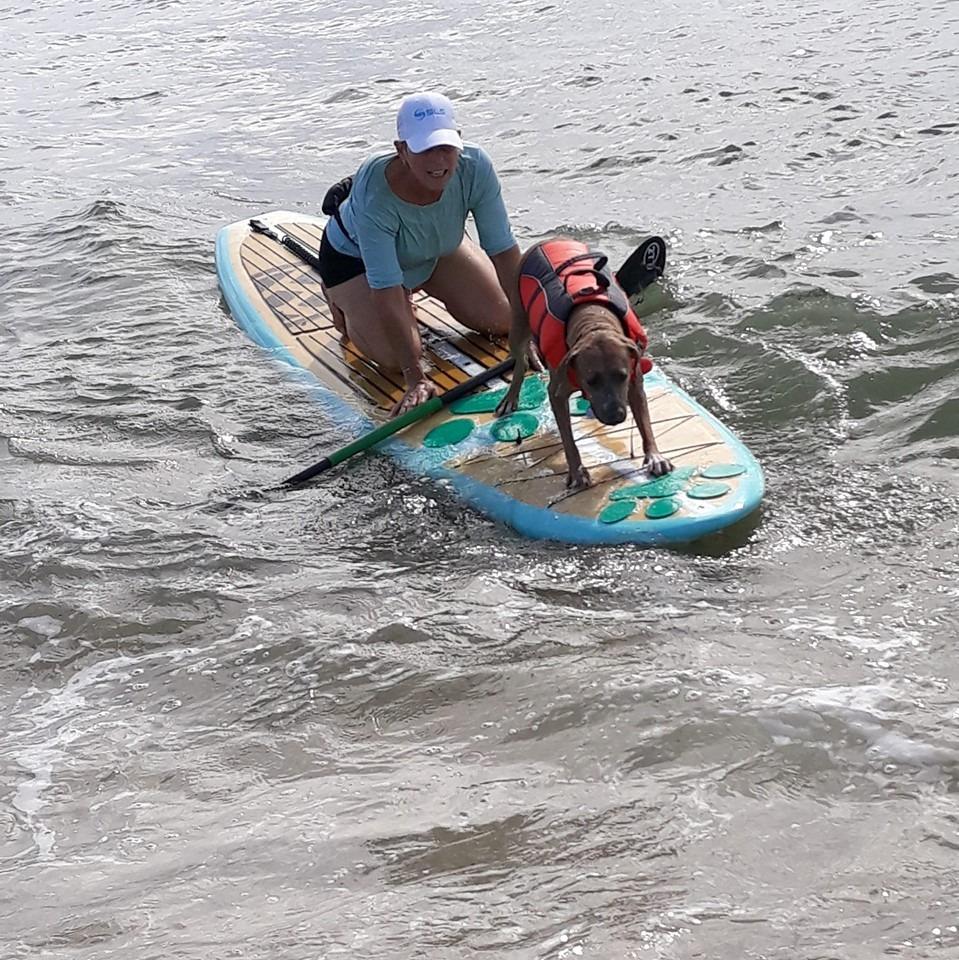 Paddle with Your Dog Pup Deck SUP Traction Pad for Dogs Stand Up Paddleboard Deck Padding. Teal Green Paw Prints customer photo 2