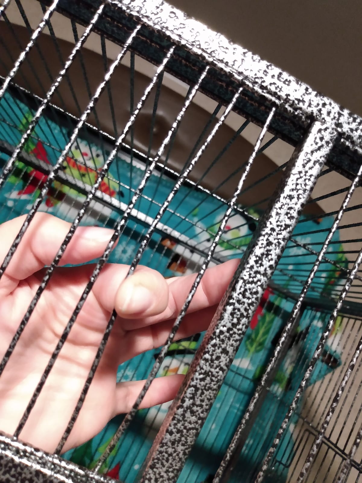 Extra Large Wrought Iron 5-Tiers Chew-Proof Ferret Squirrel Chinchilla Sugar Glider Critter Animal Home Metal Cage Easy Clean Pull Out Tray with Removable Rolling Stand customer photo 1