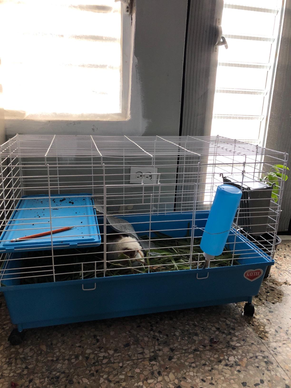Kaytee Deluxe 2-Level Habitat for Pet Guinea Pigs customer photo 1