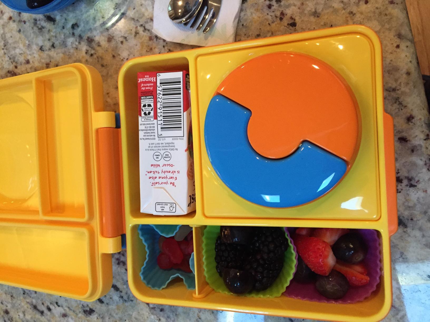 Omie OmieBox Kids Insulated Leakproof Bento Lunch Box with Food Jar (Meadow) customer photo 1