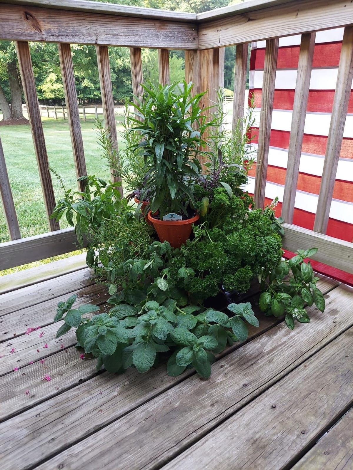 Stacking Planter Tower - 3-Tier Space Saving Flower Pots - Set of 3 Indoor/Outdoor Vertical Herb & Vegetable Garden by Pure Garden (Terracotta Colored) customer photo 1