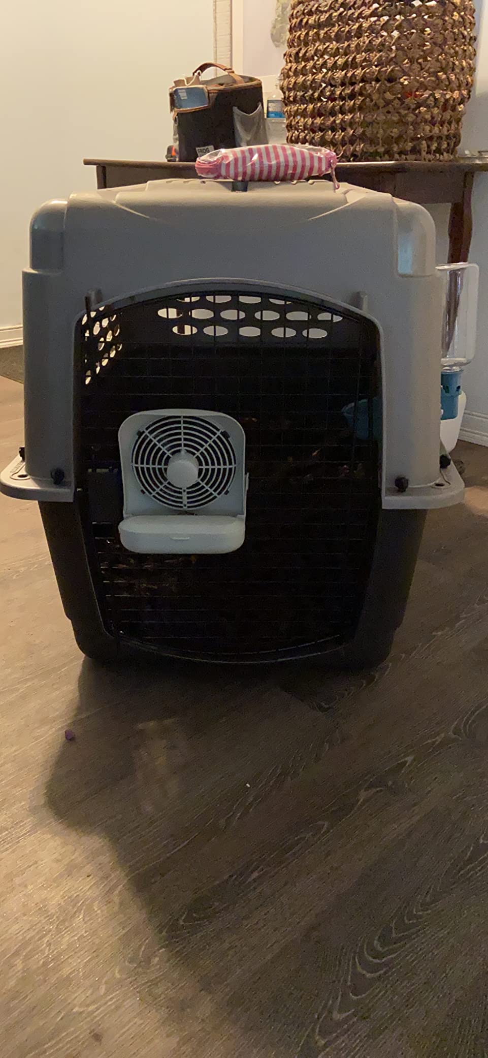 Treva 5-inch Pet Crate Fan for Cooling Dogs and Other Pets. 2 Cooling Speeds, Battery Powered customer photo 2