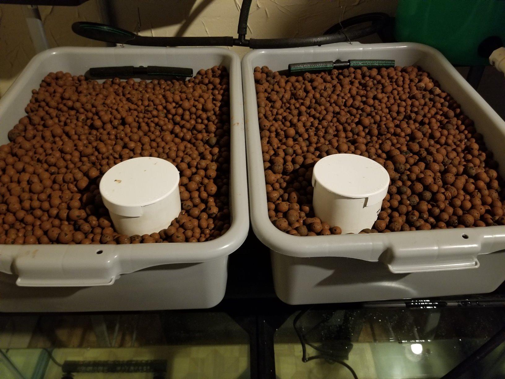 Hydroton Original Clay Pebbles - 10 Liter | Lightweight Expanded Clay Aggregate Made in Germany customer photo 1