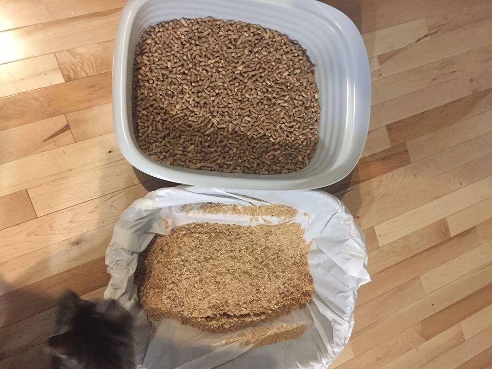 Arm and Hammer Large Sifting Cat Litter Box with Microban customer photo 1