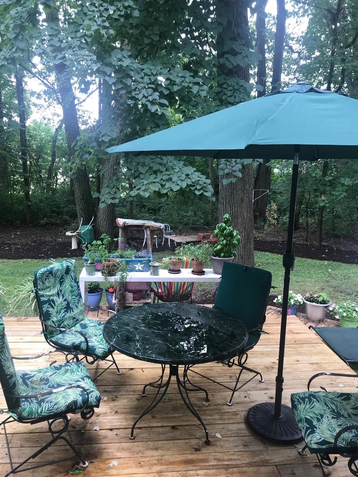 Sunnyglade 18