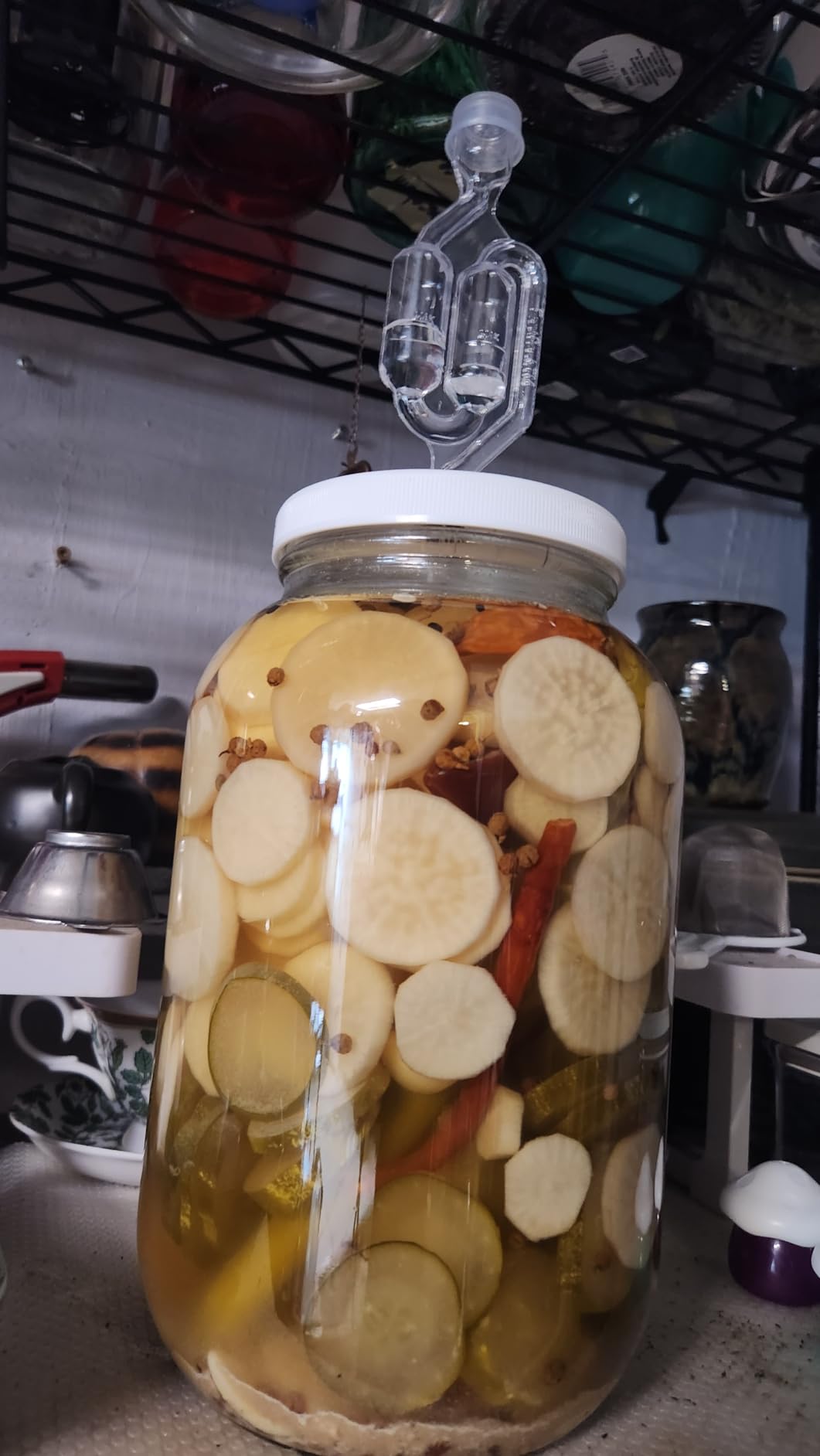 2-Pack 1 Gallon Glass Jar with Lid | Wide Mouth Twin Bubble Airlock Set customer photo 1