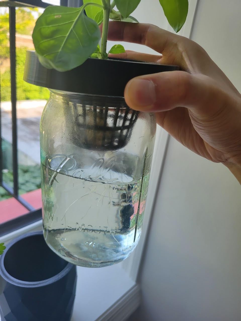 Cz Garden 3 Inch Net Pots, 25 Pack Heavy Duty Hydroponic Net Cups with Wide Rim, Slotted Mesh for Orchids, DWC, Kratky & Wide Mouth Mason Jars customer photo 1