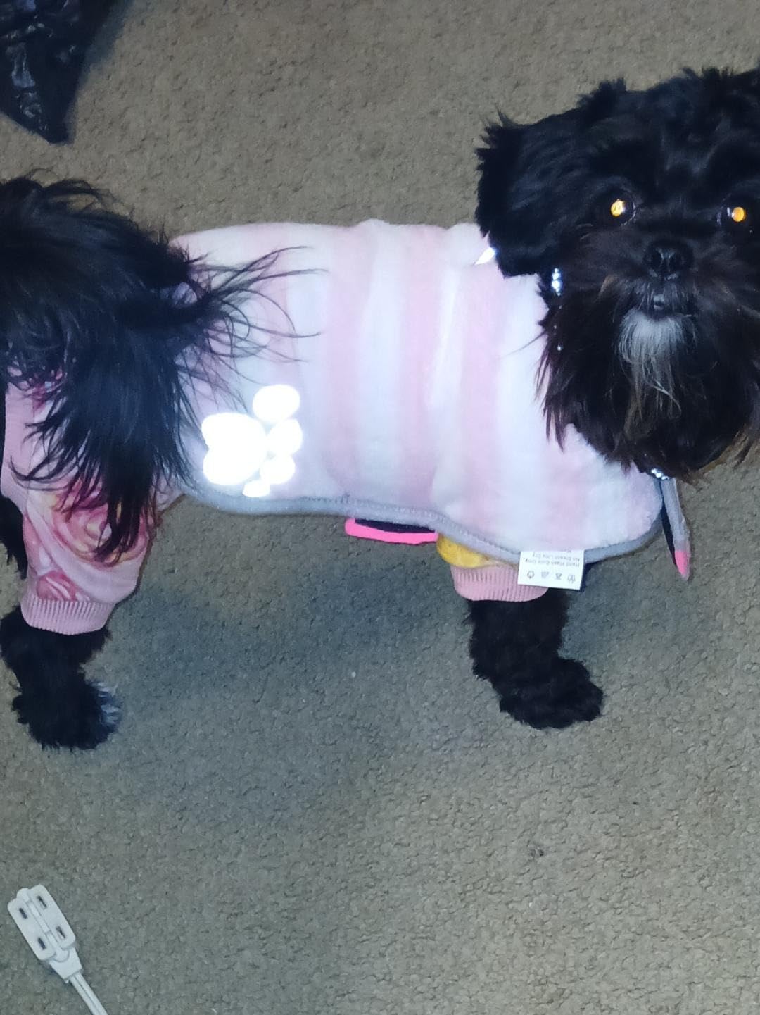 Queenmore Cold Weather Dog Coats Loft Reversible Winter Fleece Dog Vest Waterproof Pet Jacket Available in Extra Small, Small, Medium, Large Extra Large Sizes customer photo 1