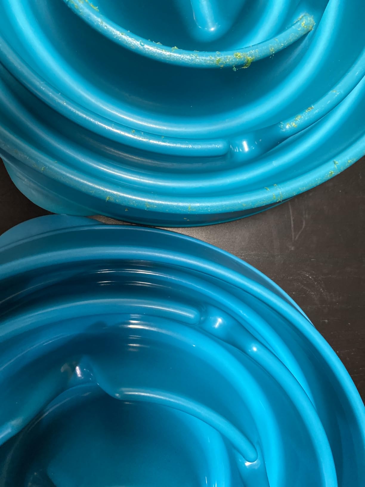 Outward Hound Fun Feeder Slo Bowl – Medium 2‑Cup Capacity, Slow Feeding, Small to Medium Dogs & Cats, Non-Slip, Blue, Notch Pattern customer photo 2