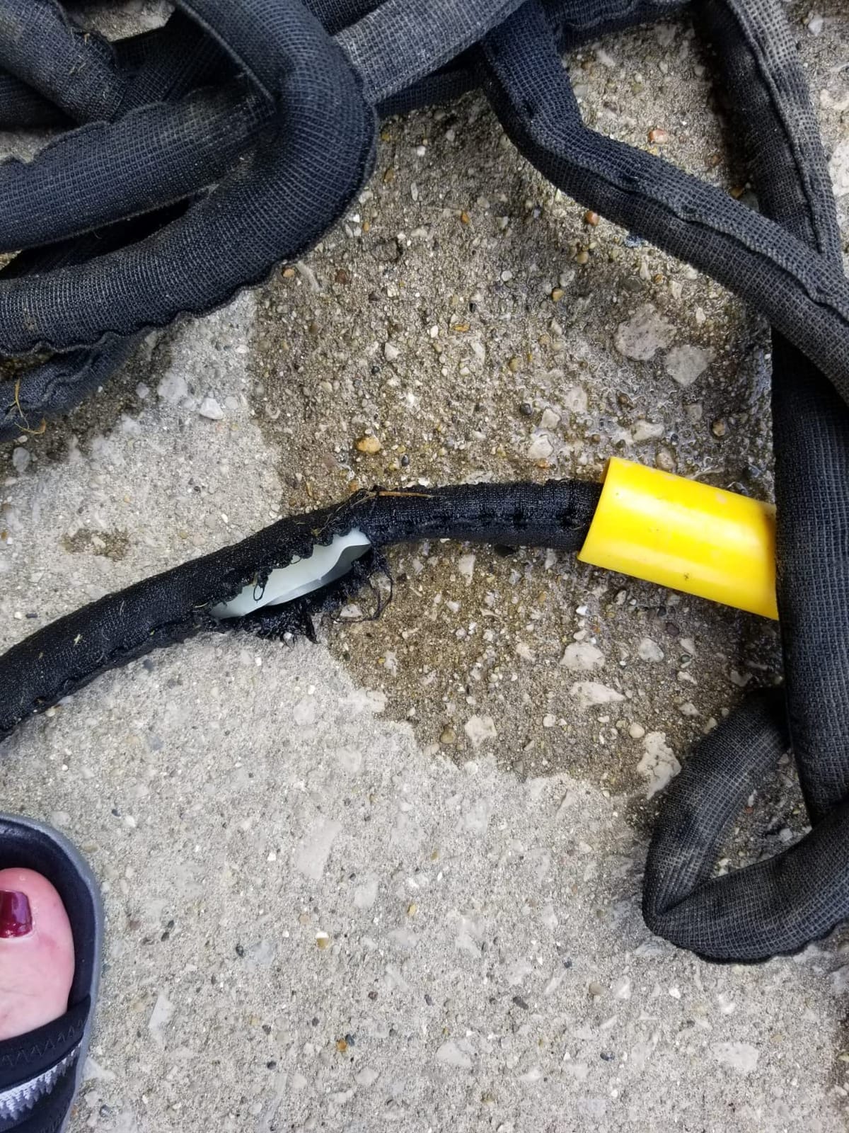 Stanley DuraflexPro Expanding Garden Hose, 50 Feet customer photo 1