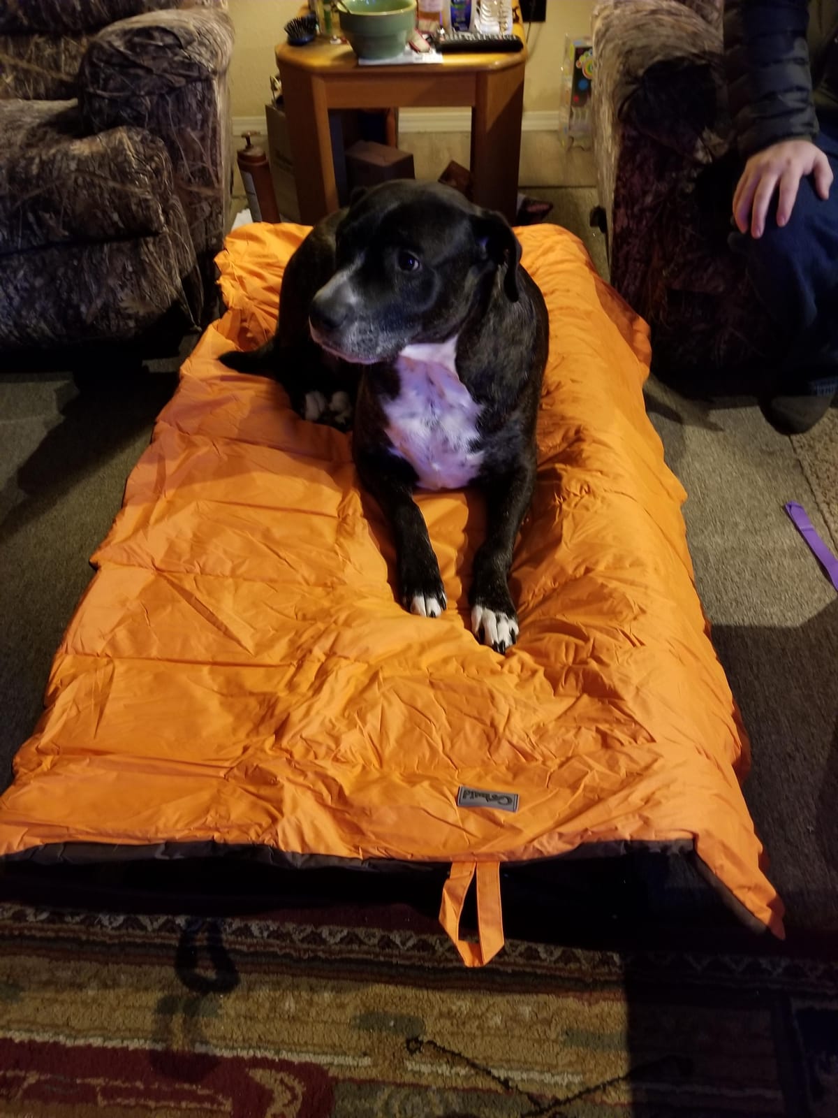 CHEERHUNTING Outdoor Dog Bed, Waterproof, Washable, Large Size, Durable, Water Resistant, Portable and Camping Travel Pet Mat customer photo 1