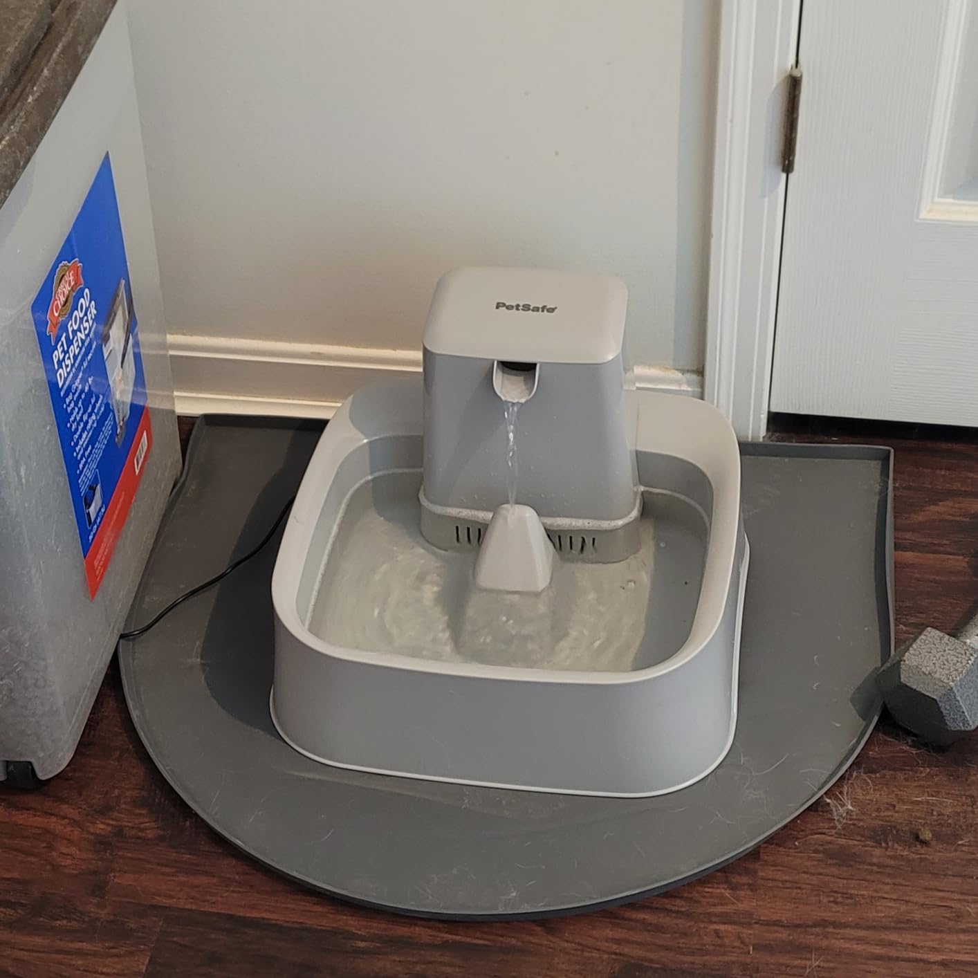 PetSafe Oasys Pet Fountain, 2 Gallon (256 oz), Cats, Dogs & Multi-Pet Homes customer photo 2