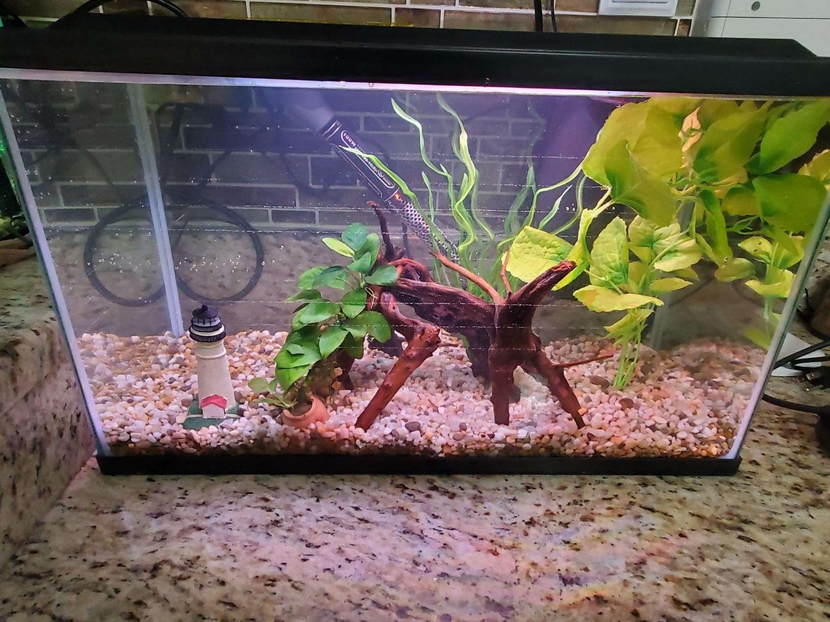 Tetra Goldfish LED Kit 10 Gallons, Complete Aquarium Set with Lighting and Filter customer photo 1