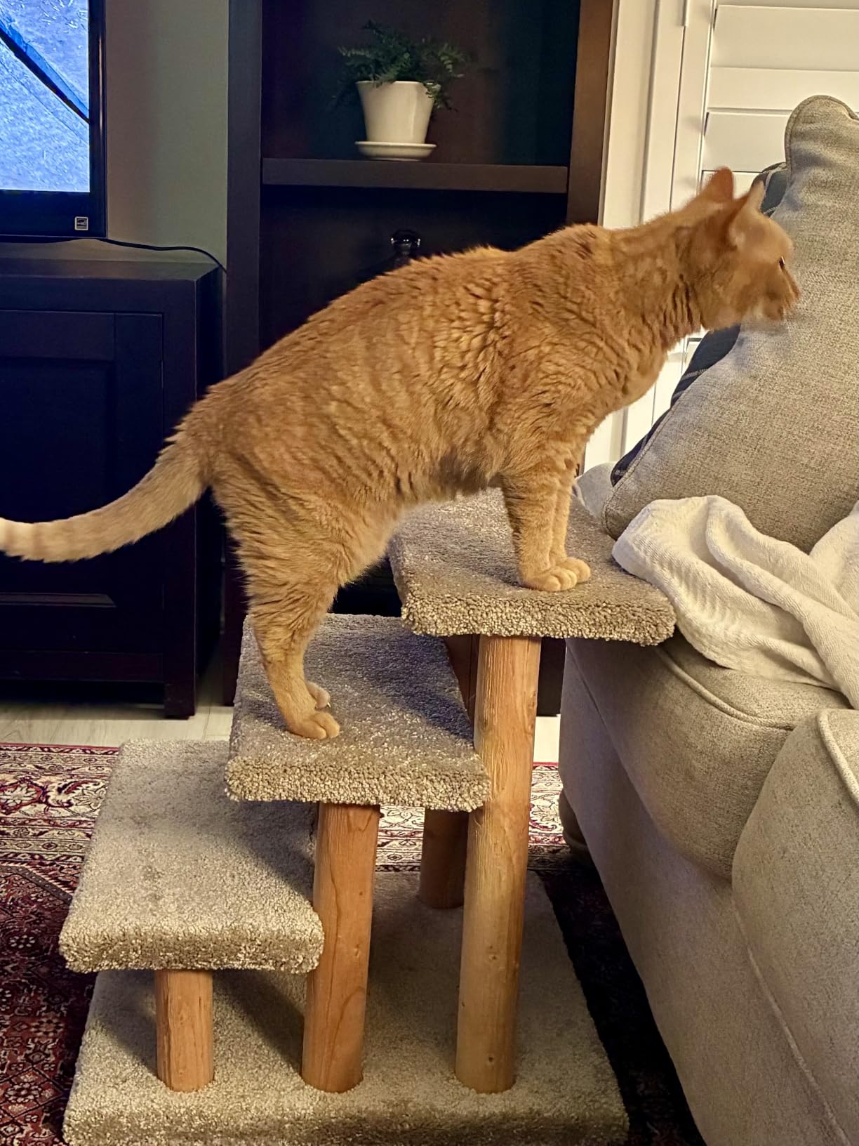 New Cat Condos 120223 Pet Stairs, Neutral, Large customer photo 1