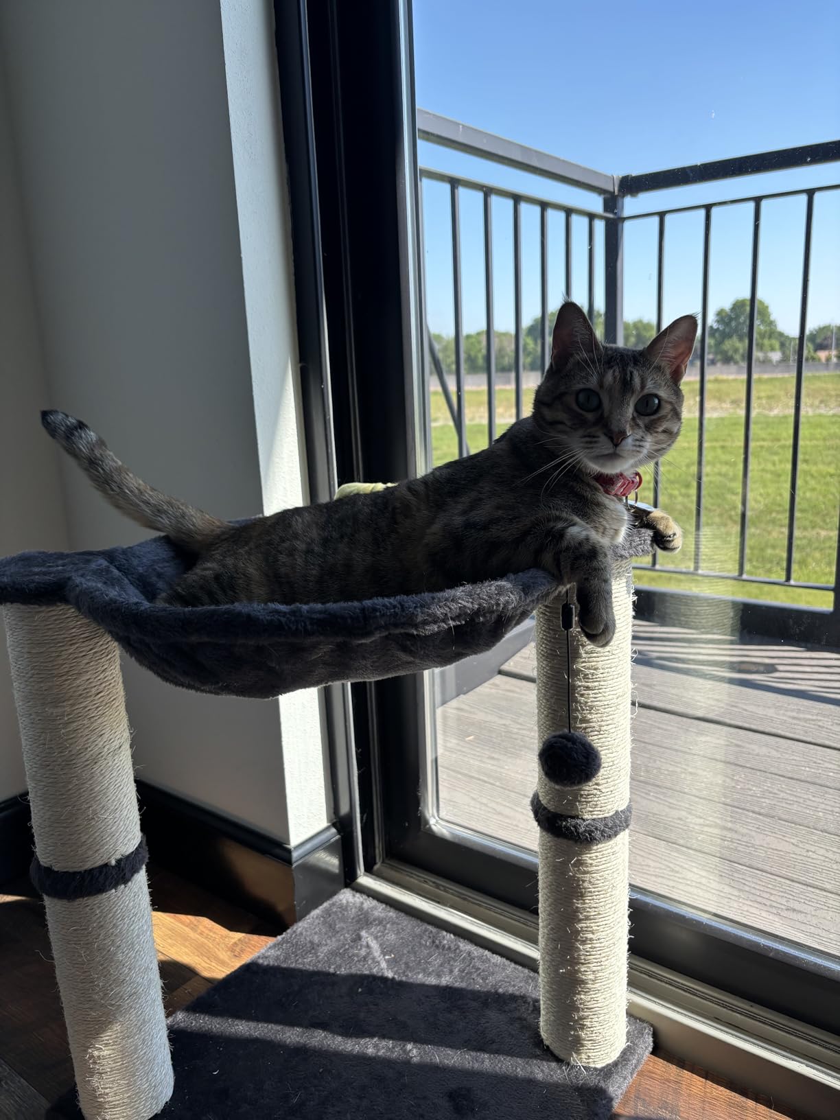 Amazon Basics Sturdy Cat Condo Tower with Hammock Bed and Scratching Posts, Interactive Hanging Ball Toy for Indoor Cats, 15.8