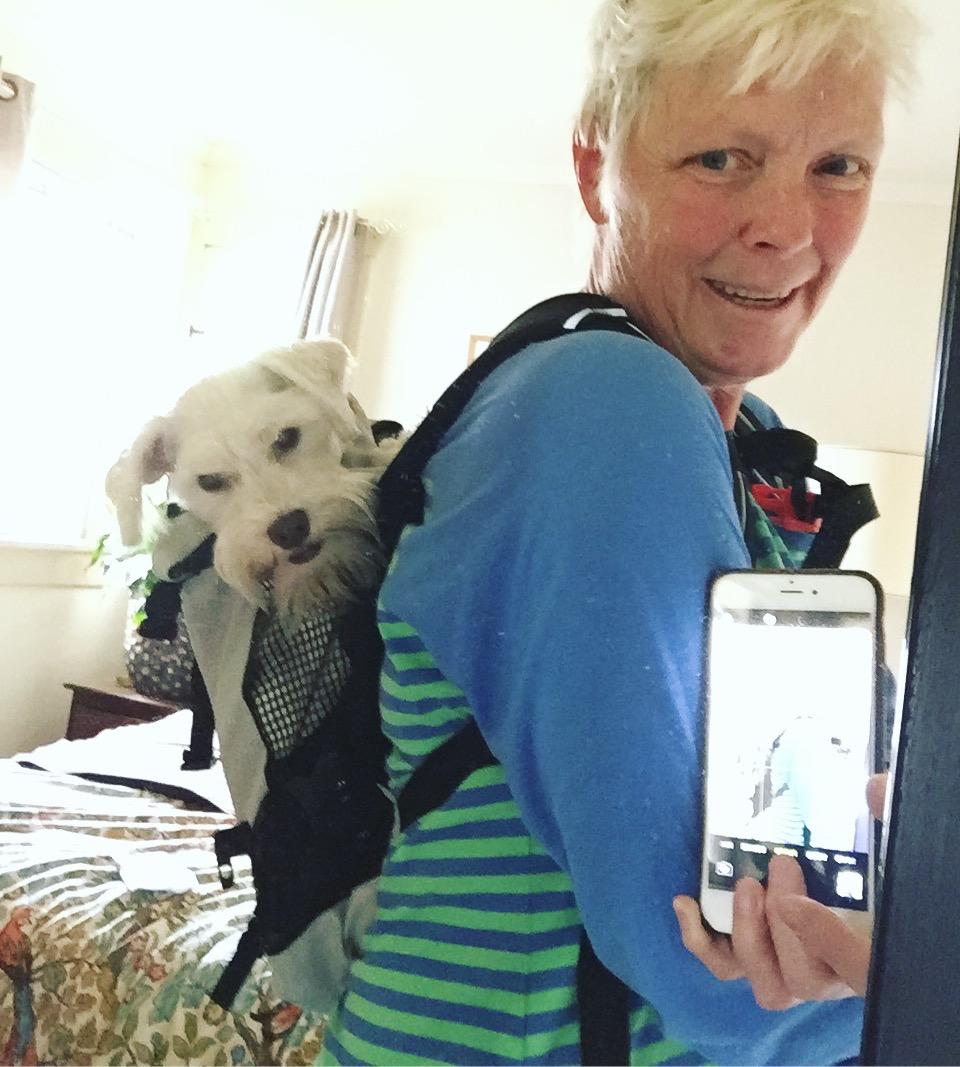 K9 Sport Sack Plus 2 - Large, Summer Mint - Ideal for Dogs 20-22” Long - Adjustable, Backpack-Style Carrier with Multi-Functional Storage Pack, Thick Shoulder Straps & Padded Back Panel customer photo 2
