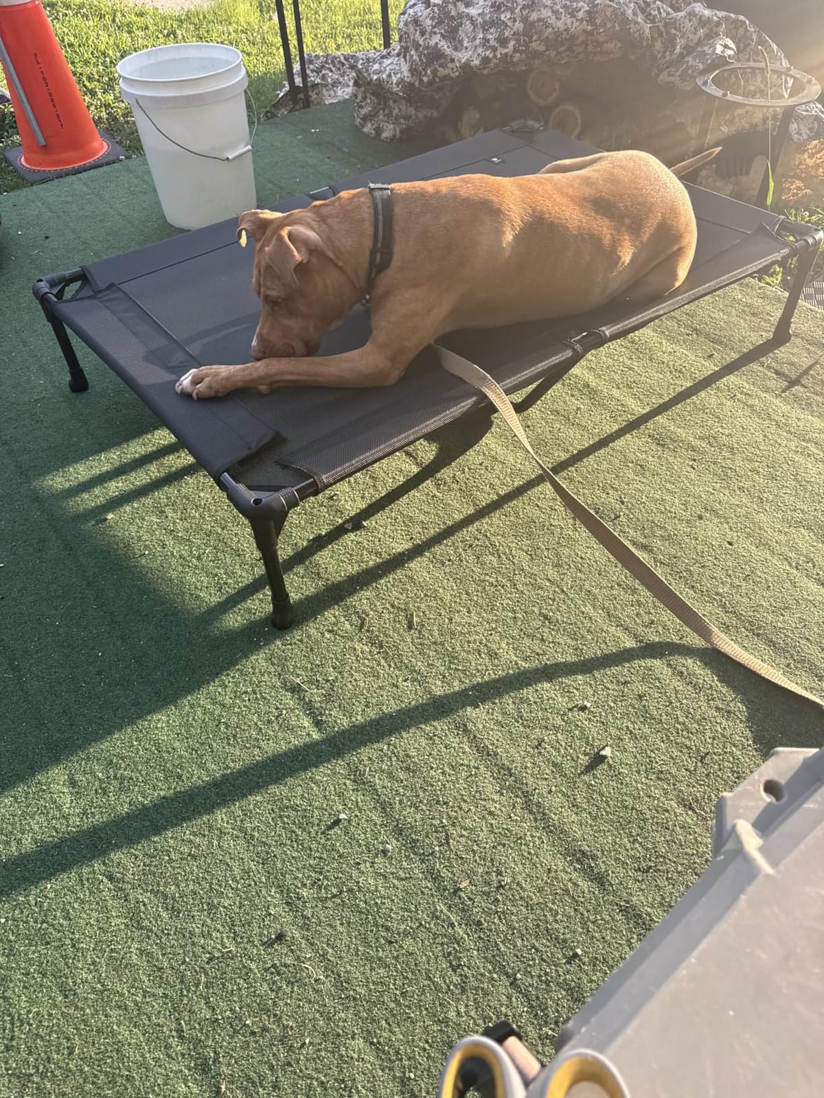 Veehoo Outdoor Elevated Dog Bed Large Sized Dogs, Cooling Raised Dog Cots | Off-ground training platform, portable camping hammock, breathable mesh, easy to clean, no-tool setup, 42