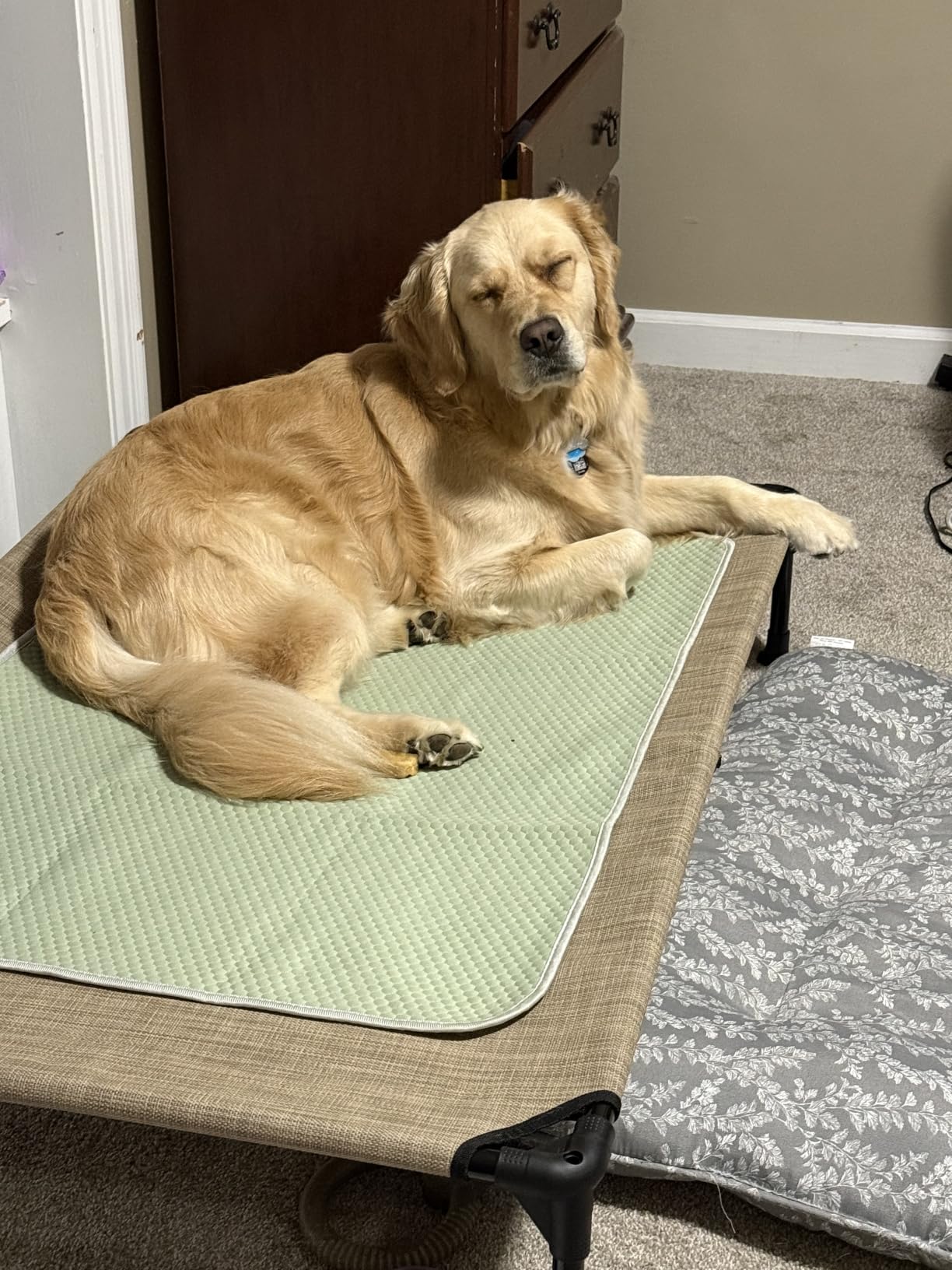 Veehoo Outdoor Elevated Dog Bed Large Sized Dogs, Cooling Raised Dog Cots | Off-ground training platform, portable camping hammock, breathable mesh, easy to clean, no-tool setup, 42