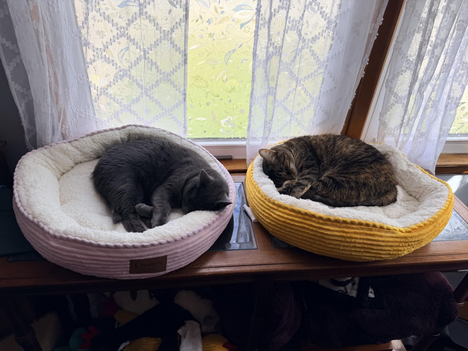 Love's cabin Round Donut Cat and Dog Cushion Bed, 20in Bed for Cats or Small Dogs, Anti-Slip & Water-Resistant Bottom, Super Soft Durable Fabric Pet Beds, Washable Luxury Cat & Dog Bed Gray customer photo 2