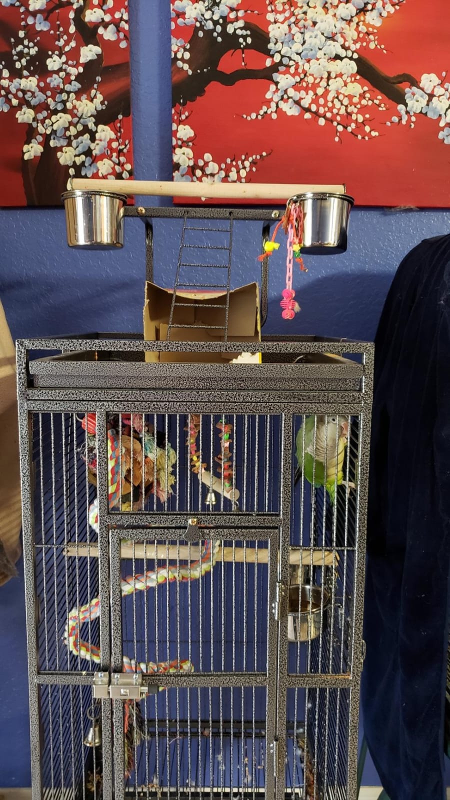 SUPER DEAL 68-inch Large Bird Cage with Rolling Stand African Grey Parrot Chinchilla Finch Cage Conure Cockatiel Cockatoo Pet House Wrought Iron Birdcage, Black customer photo 2