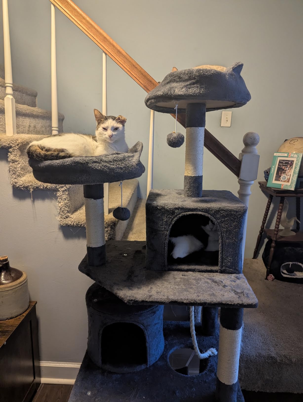 Yaheetech 62.5in Tall Cat Tree w/2 Cat-Ear Perches & 2 Condos, Dark Gray customer photo 2