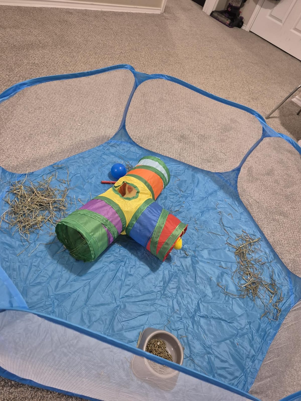 Rypet Guinea Pig Playpen Pop-Up, Outdoor Yard Fence for Small Pets,Pink customer photo 1