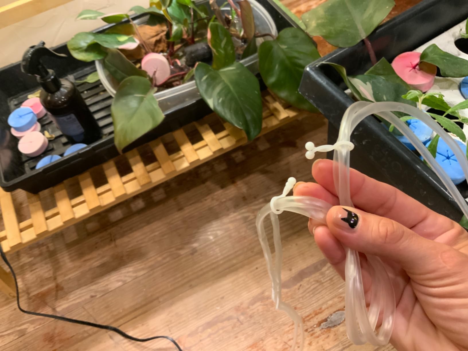 HORTIPOTS DWC Air Diffuser Bubbler Kit with Oxygen Air Pump for DIY Hydroponic Bubbler Bucket System Deep Water Cloner 24 Site and Aeroponic Clone Machine 35 Site customer photo 1