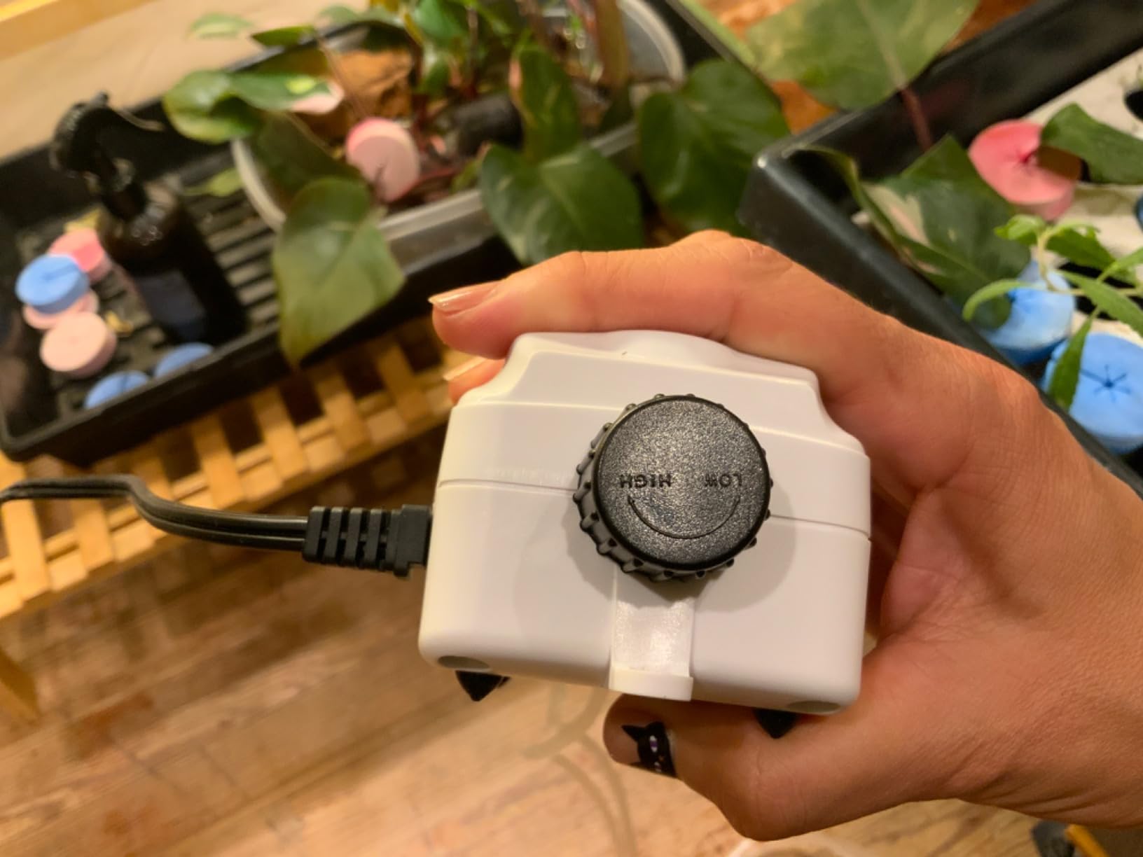 HORTIPOTS DWC Air Diffuser Bubbler Kit with Oxygen Air Pump for DIY Hydroponic Bubbler Bucket System Deep Water Cloner 24 Site and Aeroponic Clone Machine 35 Site customer photo 2