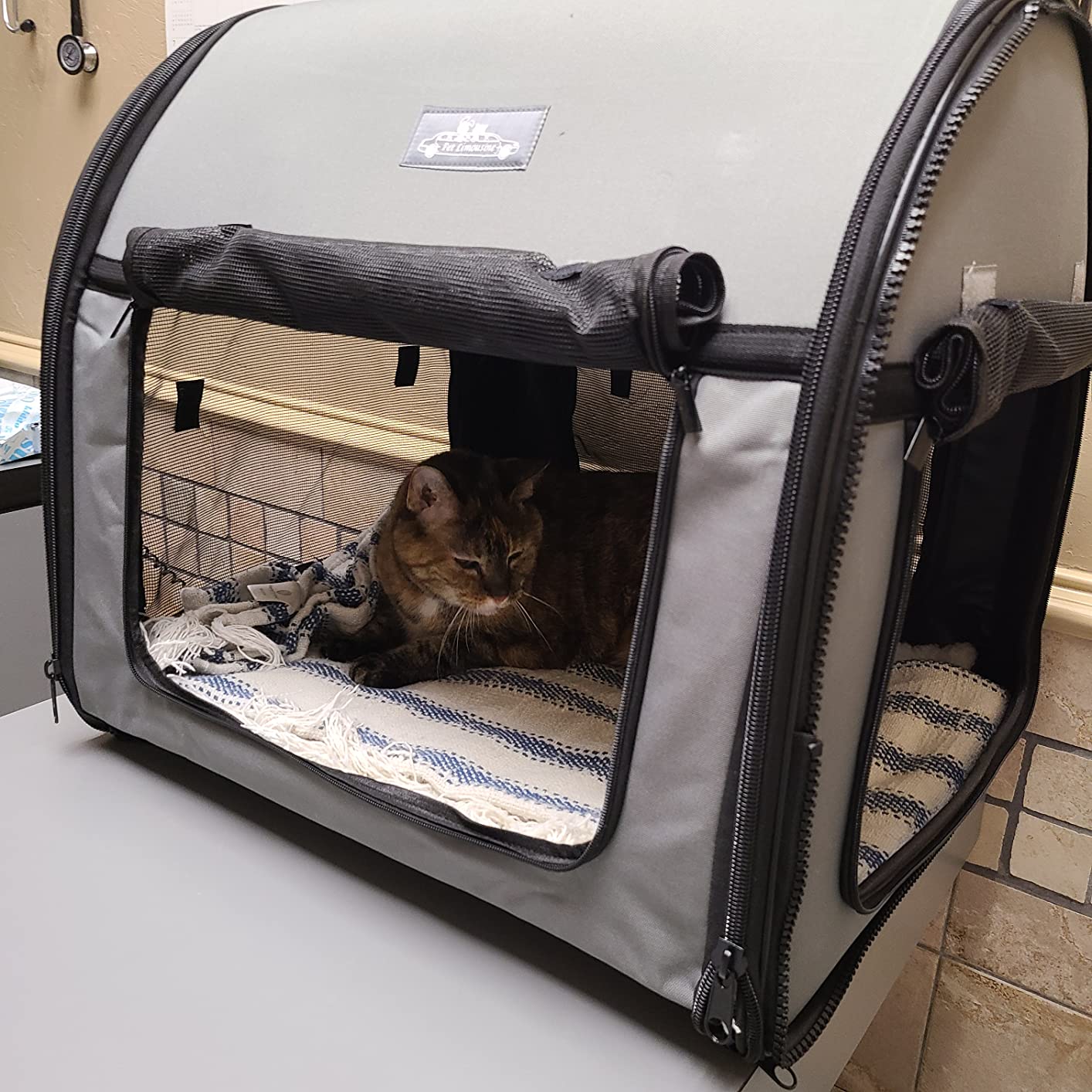 Soft Dog Cat Crate the Portable 2-in-1 Double Travel Kennel Tube Carrier for All Pets Car Seat Ready customer photo 1