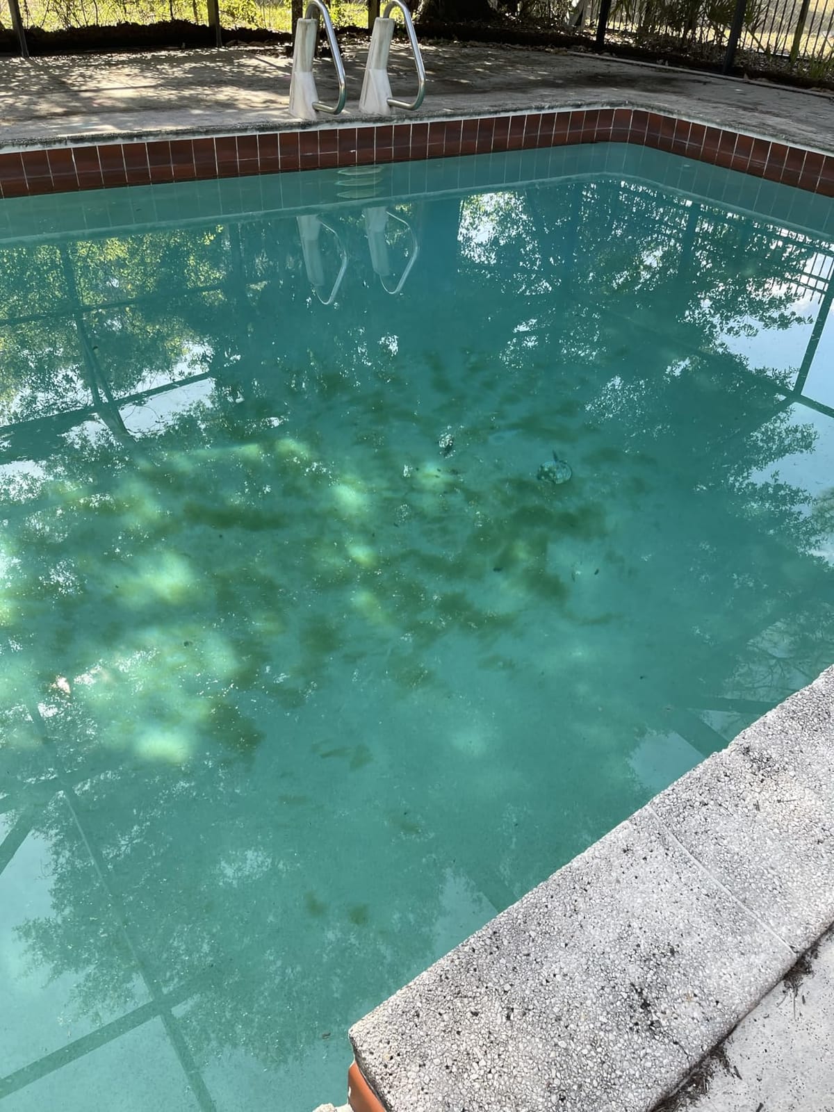 Future Way C1200 Pool Filter Cartridge Replacement for Hayward Star Clear Plus C1200, Replace Pleatco PA120, Hayward CX1200RE, Unicel C-8412, 120 sq.ft customer photo 2