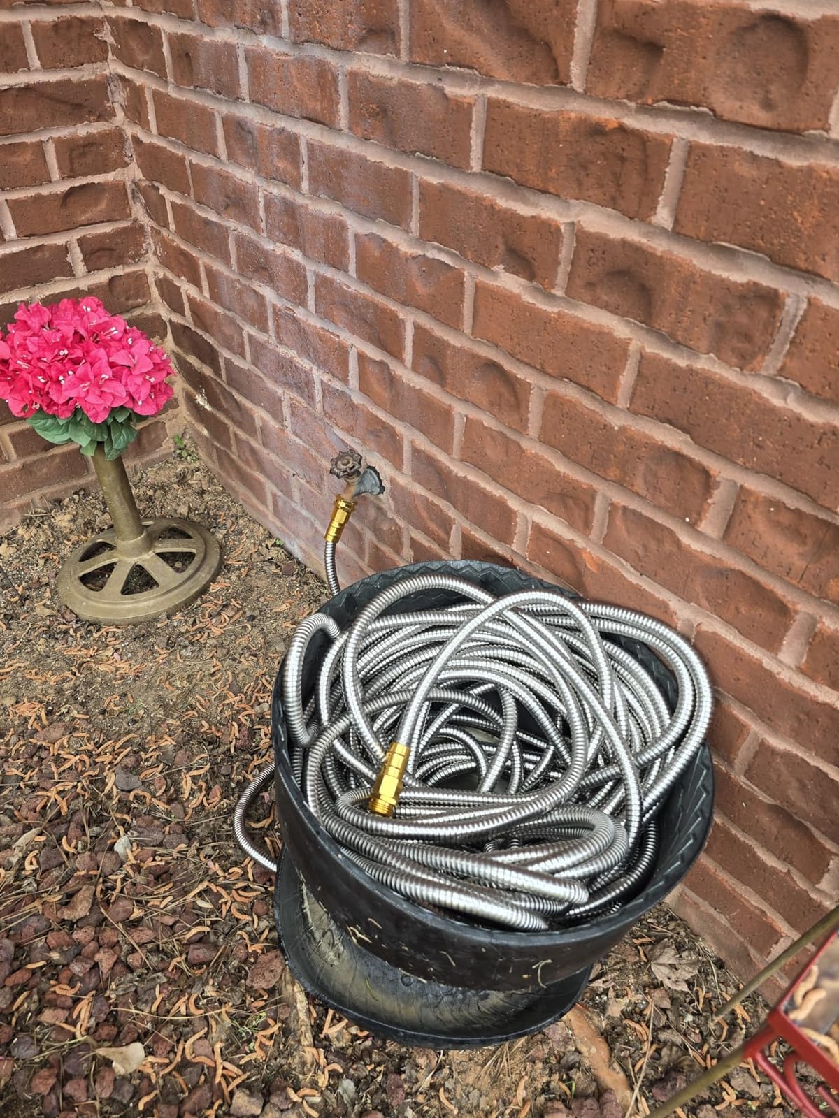 Rosy Earth 100 FT Garden Hose Expandable, 304 Stainless Steel Water Hose customer photo 1