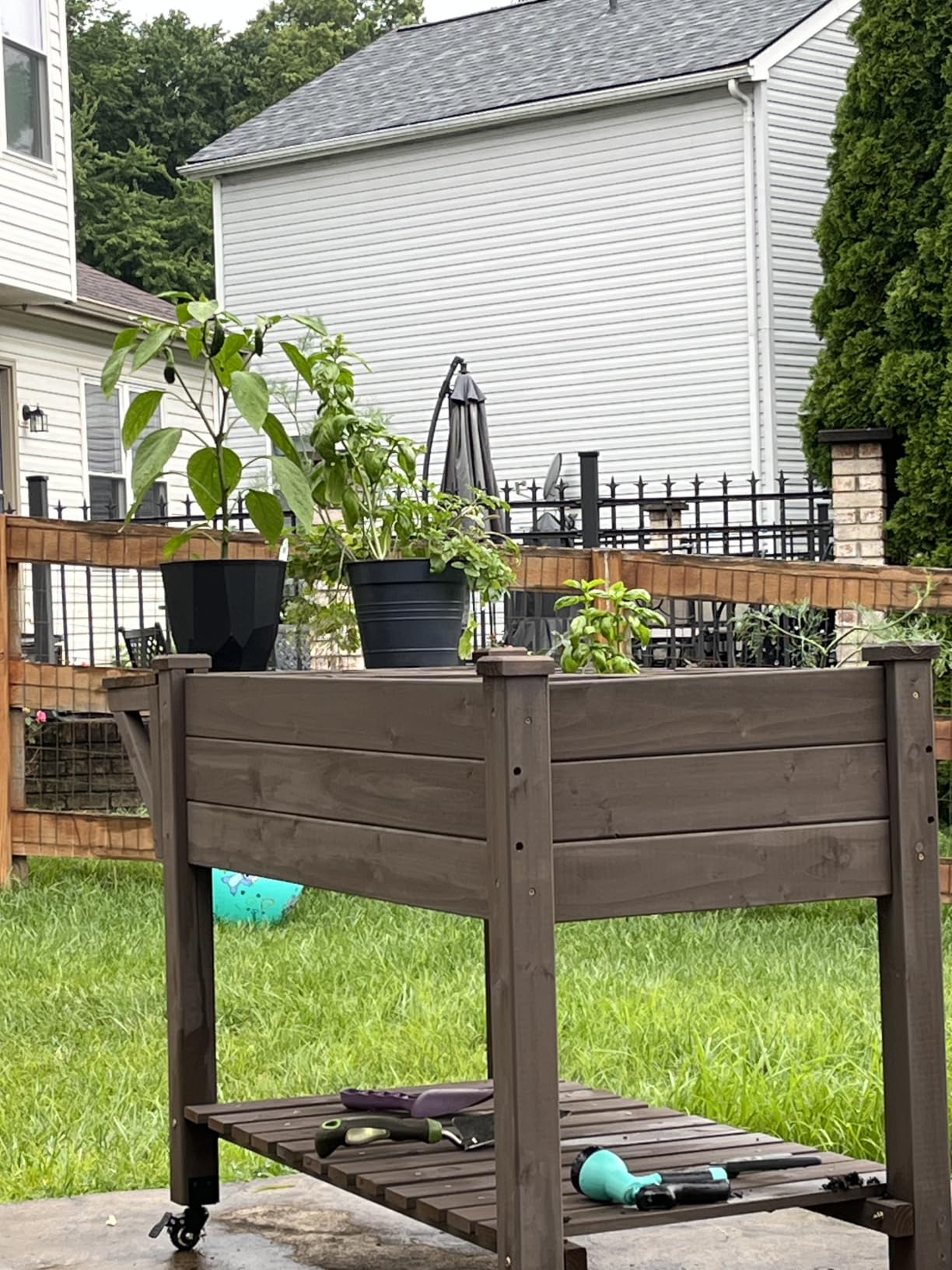 Aivituvin Raised Garden Bed on Wheels, Elevated Plant Boxes Outdoor Large with Grow Grid - with Large Storage Shelf 52.7